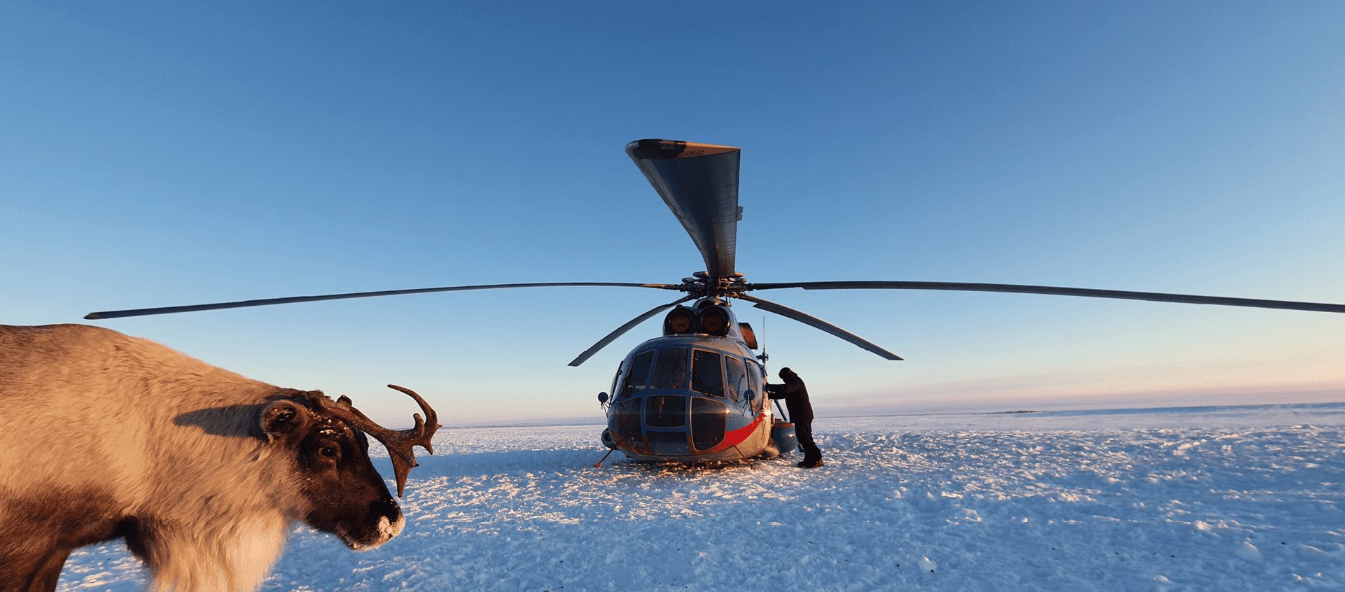 Программы для молодежи