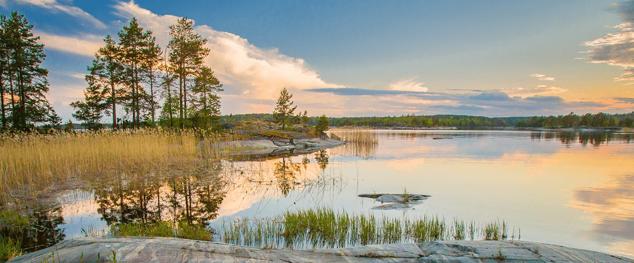 Система экологического менеджмента