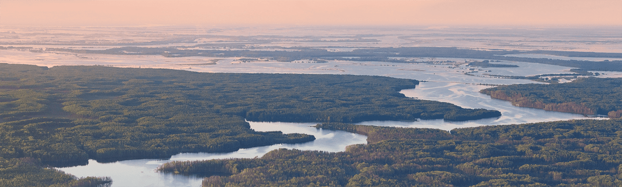 Обращение президента компании