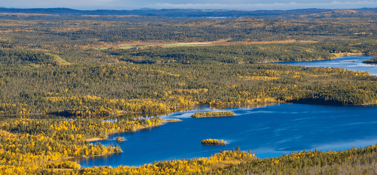 Перспективные площади